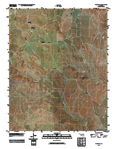 Pearsonia 2009 topographic map thumbnail