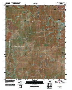 Nelagoney 2010 topographic map thumbnail