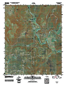 Nicut 2010 topographic map thumbnail
