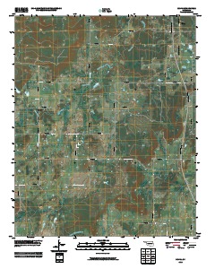 Scipio 2010 topographic map thumbnail