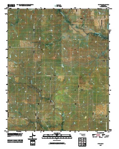 Ryan SE 2010 topographic map thumbnail