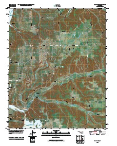 Salina SE 2010 topographic map thumbnail