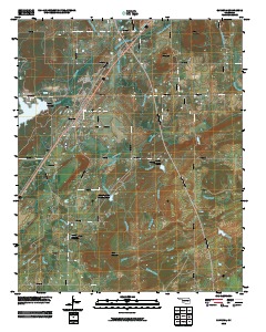 Savanna 2010 topographic map thumbnail