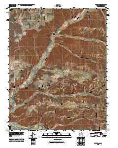 Tiff City 2010 topographic map thumbnail