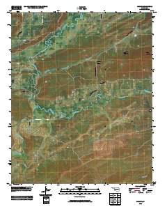Higgins 2009 topographic map thumbnail
