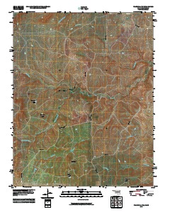 Pearsonia NW 2010 topographic map thumbnail