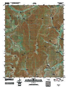 Bunch 2010 topographic map thumbnail