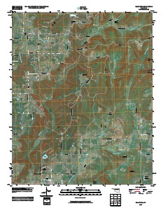 Blackgum 2010 topographic map thumbnail