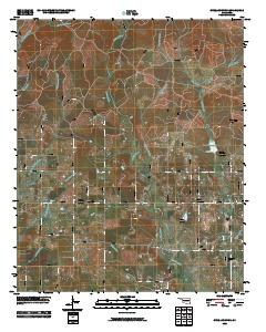 Steel Junction 2010 topographic map thumbnail
