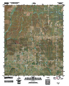 Swink 2010 topographic map thumbnail