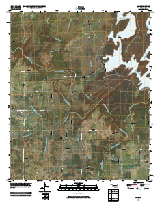 Lane 2010 topographic map thumbnail