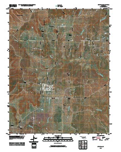 Wynona 2010 topographic map thumbnail