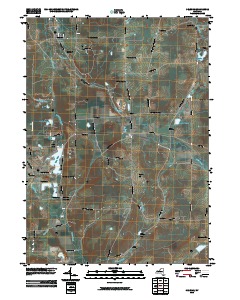 Delevan 2010 topographic map thumbnail