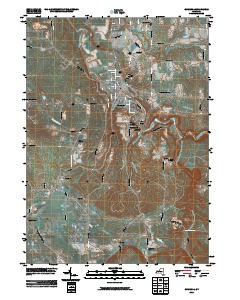Gowanda 2010 topographic map thumbnail