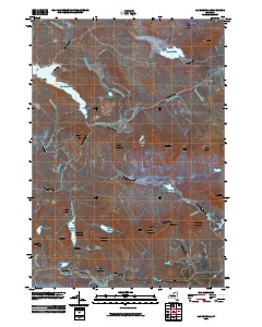 Lake Ozonia 2010 topographic map thumbnail