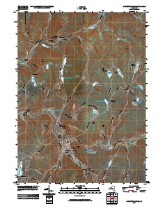 Livingston Manor 2010 topographic map thumbnail