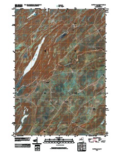 Natural Dam 2010 topographic map thumbnail