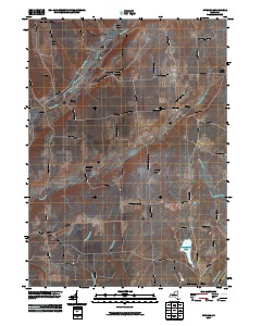 Pitcher 2010 topographic map thumbnail