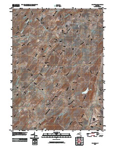Pine Bush 2010 topographic map thumbnail