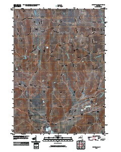Munnsville 2010 topographic map thumbnail