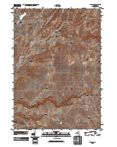 Rodman 2010 topographic map thumbnail