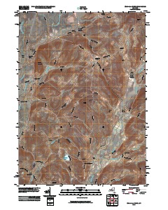 Unadilla Forks 2010 topographic map thumbnail