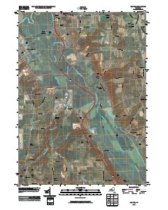 Sonyea 2010 topographic map thumbnail