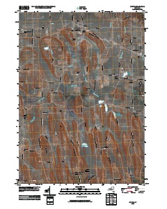 Sodus 2010 topographic map thumbnail