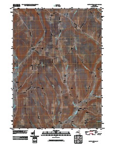 South Otselic 2010 topographic map thumbnail