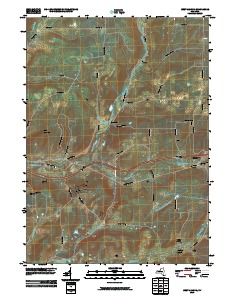 West Almond 2010 topographic map thumbnail