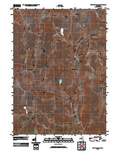 West Bainbridge 2010 topographic map thumbnail