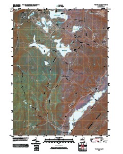 Yankee Lake 2010 topographic map thumbnail