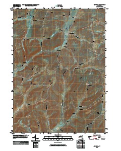 Ashford 2010 topographic map thumbnail