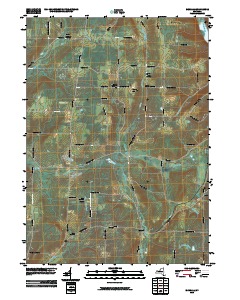 Birdsall 2010 topographic map thumbnail