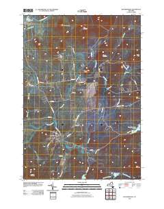 Bloomingdale 2010 topographic map thumbnail