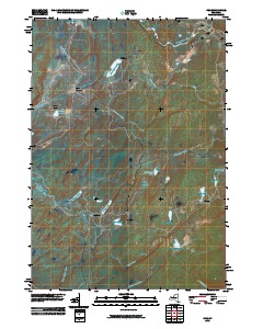 Fine 2010 topographic map thumbnail