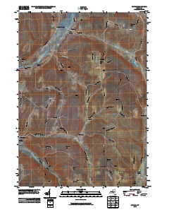Cuyler 2010 topographic map thumbnail