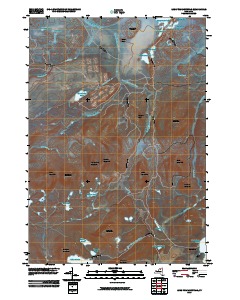 Long Tom Mountain 2010 topographic map thumbnail