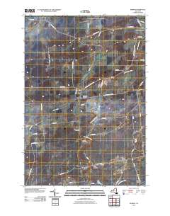 Bombay 2010 topographic map thumbnail