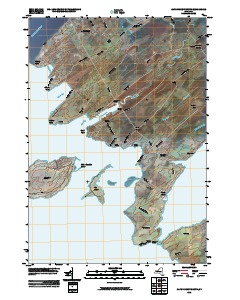 Cape Vincent South 2010 topographic map thumbnail
