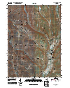 Cincinnatus 2010 topographic map thumbnail