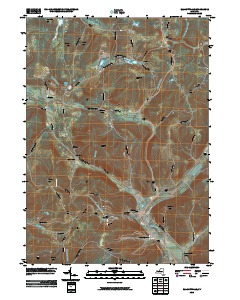 Ellicottville 2010 topographic map thumbnail