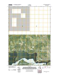 Barnhart Island 2011 topographic map thumbnail