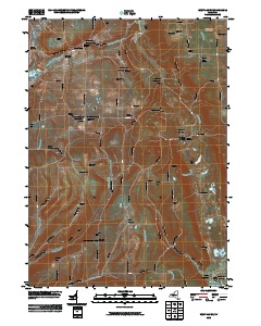 West Danby 2010 topographic map thumbnail