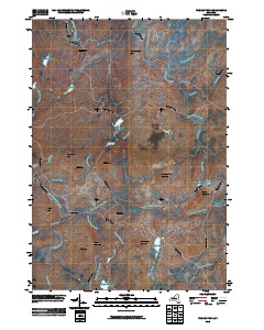 Tooley Pond 2010 topographic map thumbnail