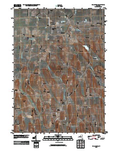 Williamson 2010 topographic map thumbnail