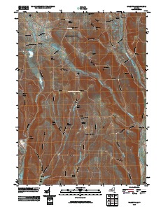 Willseyville 2010 topographic map thumbnail