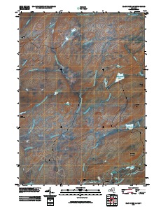 Black Creek Lake 2010 topographic map thumbnail