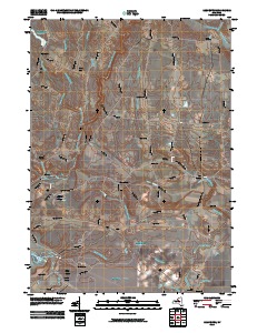 Lee Center 2010 topographic map thumbnail