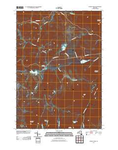 Cheney Pond 2010 topographic map thumbnail